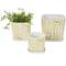 Green Geometric Linear Arch Pattern Ceramic Planter Set